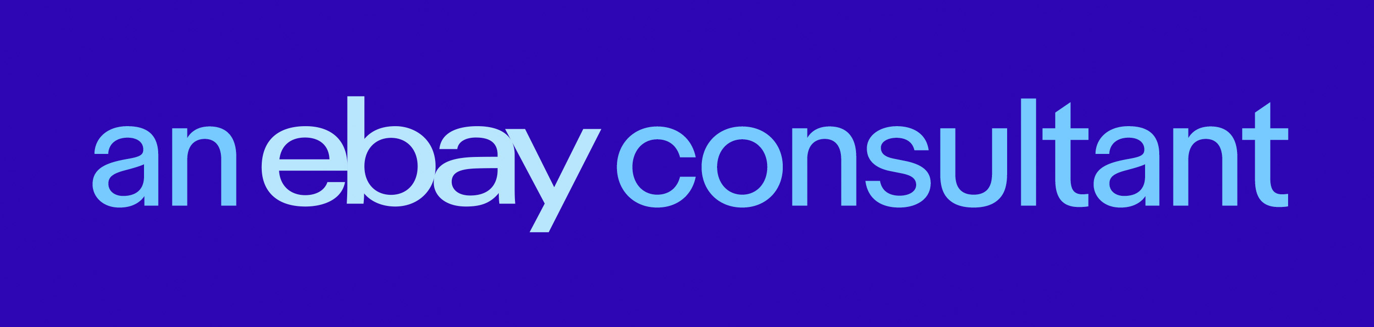 ebayConsultantLogo